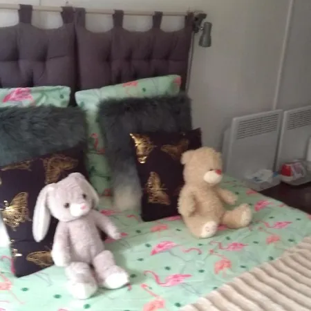 White House Bed & Breakfast Saint-Germier (Deux-Sevres)